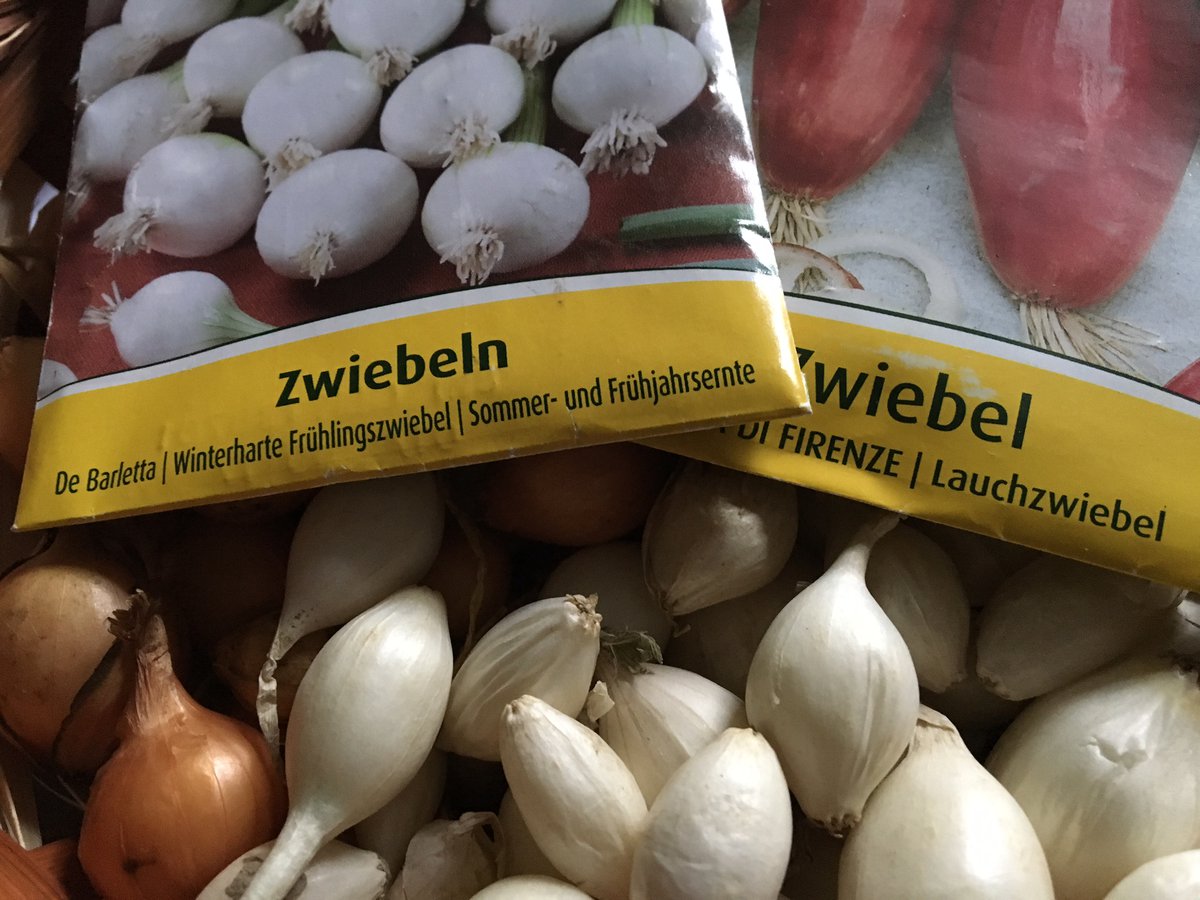 Suedtirol1 It Setzen Von Kartoffel Und Steckzwiebeln
