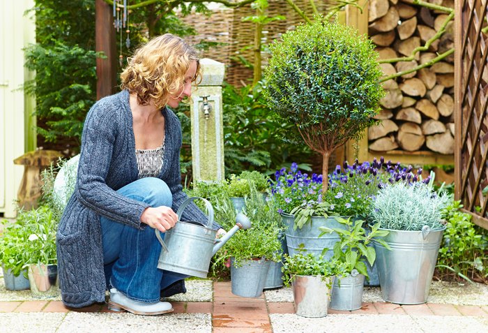 suedtirol1.it :: Gartentipps: Urlaubsstimmung für zu Hause