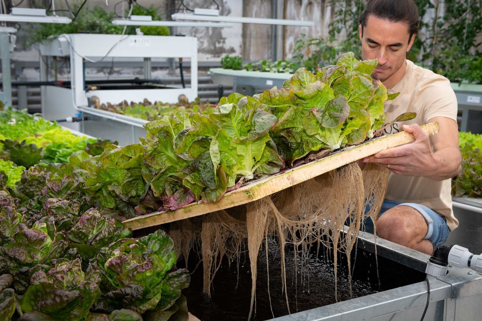 suedtirol1.it Südtiroler des Tages SOLOS